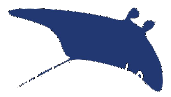Infomanta